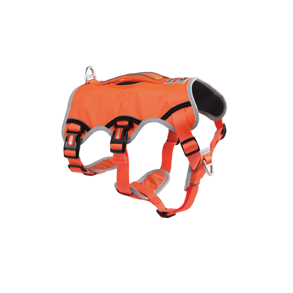 Sport Harness for Dogs